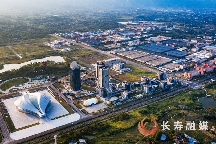 乘“數”而上！長壽先進制造業搶抓“智”高點 信息技術咨詢服務